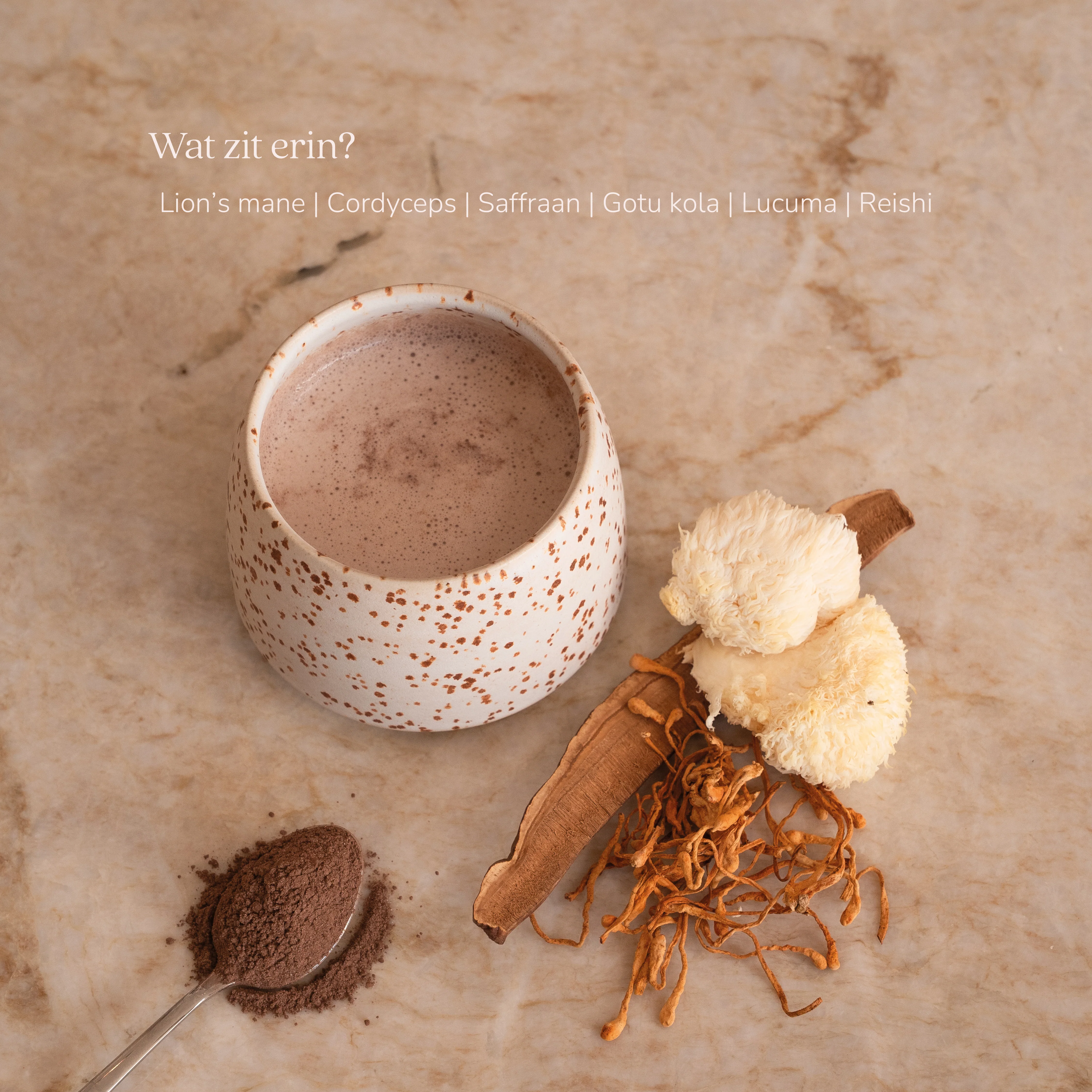 Balance+ - Image 4