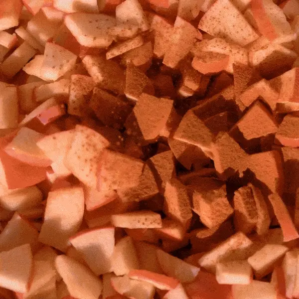 High Protein Meal - Image 18