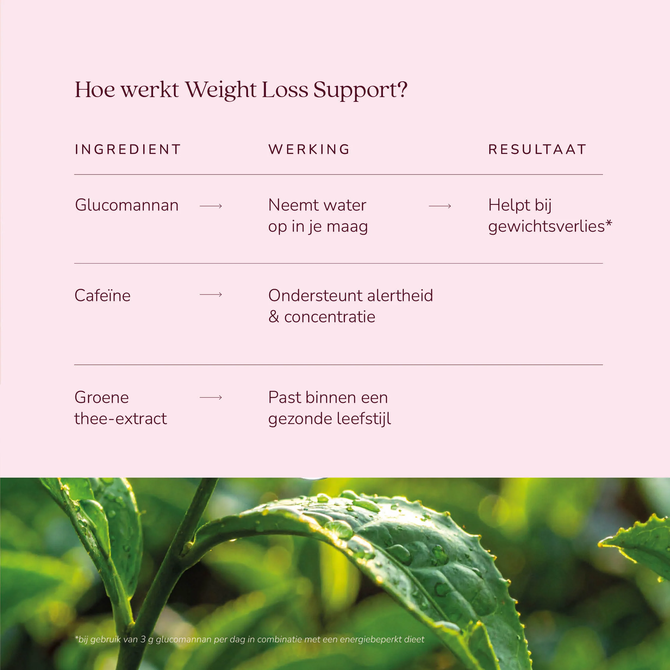 Weight Loss Support - Image 3